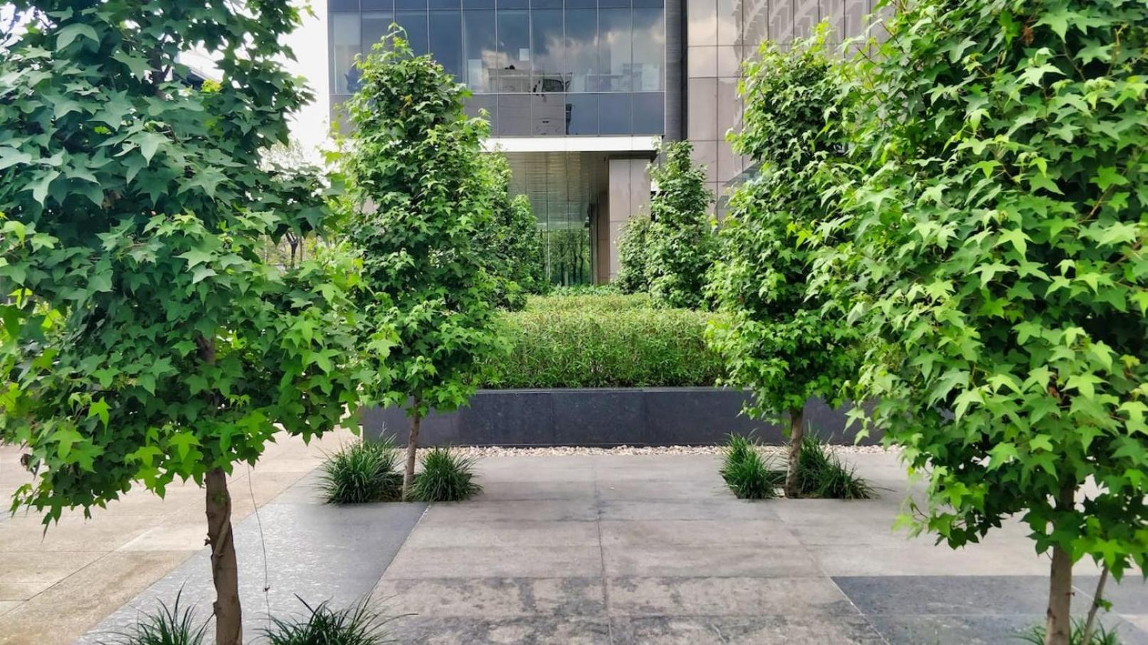 Luxurious High-Rise Hs Wifi, Amazing City Views México DF Exterior foto