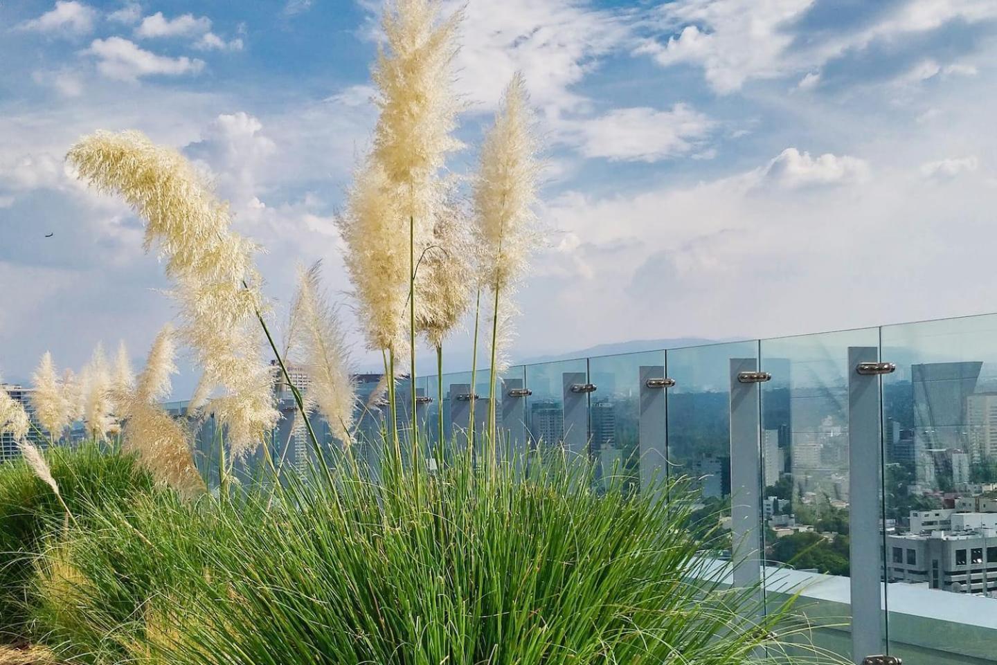 Luxurious High-Rise Hs Wifi, Amazing City Views México DF Exterior foto